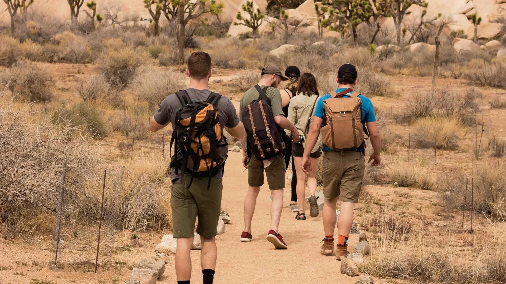 A bunch of friends with a mixture of different backpacks in search of adventure.